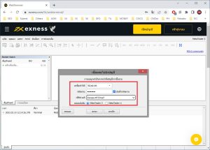 exness webterminal