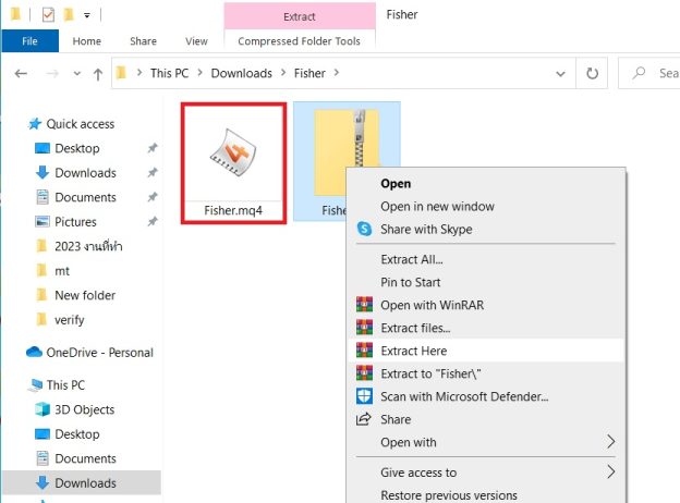 ติดตั้ง mt4 indicator