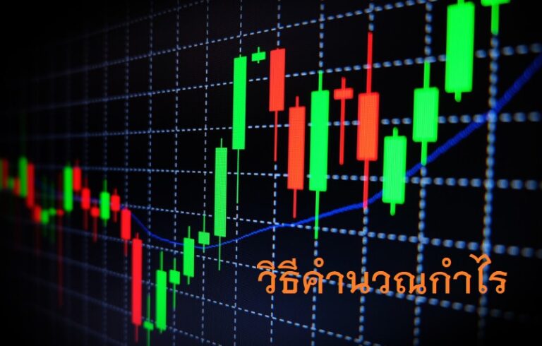 คํานวณกําไร forex
