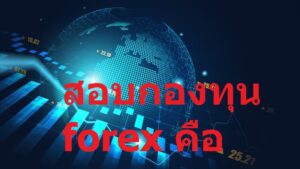 สอบกองทุน Forex คือ