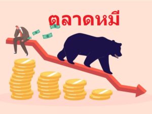 ตลาดหมี คือ