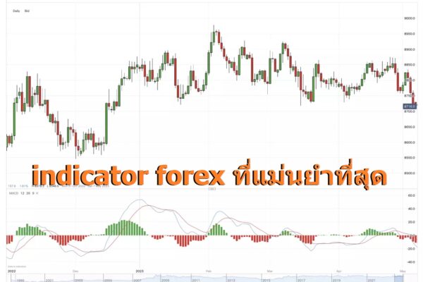 indicator forex ที่แม่นยําที่สุด indicator forex ที่แม่นยําที่สุด