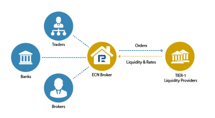 forex บัญชี ecn