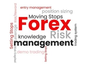 Risk Management