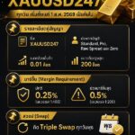 xauusd247